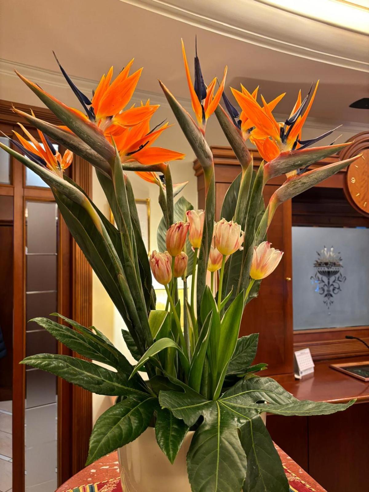 Hotel Valle Rossa Σαν Τζιοβάνι Ροτόντο Εξωτερικό φωτογραφία